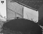 Capi_Dubne_20250816_230503.jpg