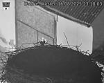 Capi_Dubne_20250816_231003.jpg