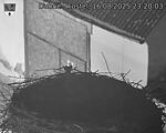 Capi_Dubne_20250816_232003.jpg