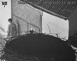 Capi_Dubne_20250816_233003.jpg