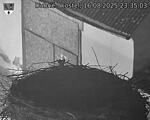Capi_Dubne_20250816_233503.jpg