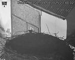 Capi_Dubne_20250816_234002.jpg