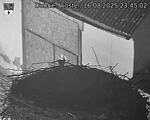 Capi_Dubne_20250816_234502.jpg