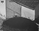 Capi_Dubne_20250816_235002.jpg