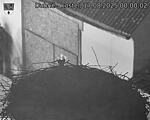 Capi_Dubne_20250817_000002.jpg