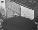 Capi_Dubne_20250817_000502.jpg
