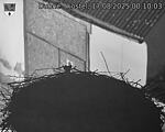 Capi_Dubne_20250817_001003.jpg