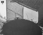 Capi_Dubne_20250817_002002.jpg