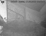Capi_Dubne_20250817_003503.jpg