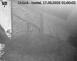 Capi_Dubne_20250817_010002.jpg