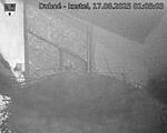 Capi_Dubne_20250817_010503.jpg