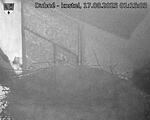 Capi_Dubne_20250817_011503.jpg