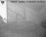 Capi_Dubne_20250817_013503.jpg