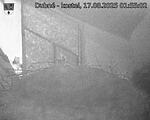 Capi_Dubne_20250817_015502.jpg
