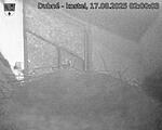 Capi_Dubne_20250817_020003.jpg