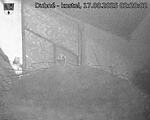 Capi_Dubne_20250817_022002.jpg