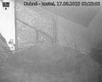 Capi_Dubne_20250817_022503.jpg