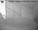 Capi_Dubne_20250817_023002.jpg