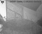 Capi_Dubne_20250817_030503.jpg