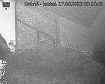 Capi_Dubne_20250817_031002.jpg