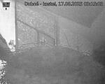 Capi_Dubne_20250817_031503.jpg