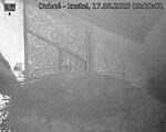 Capi_Dubne_20250817_032002.jpg