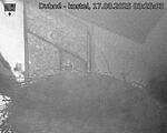 Capi_Dubne_20250817_032503.jpg