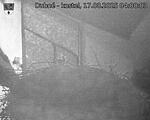 Capi_Dubne_20250817_040003.jpg