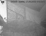 Capi_Dubne_20250817_041502.jpg