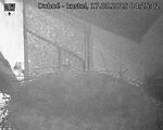 Capi_Dubne_20250817_042502.jpg