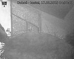 Capi_Dubne_20250817_043003.jpg