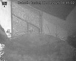 Capi_Dubne_20250817_044502.jpg
