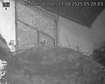 Capi_Dubne_20250817_052003.jpg
