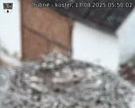 Capi_Dubne_20250817_055002.jpg
