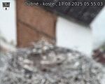 Capi_Dubne_20250817_055503.jpg