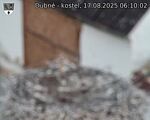 Capi_Dubne_20250817_061002.jpg