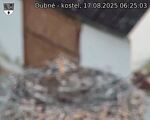 Capi_Dubne_20250817_062503.jpg