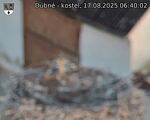 Capi_Dubne_20250817_064002.jpg