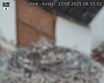 Capi_Dubne_20250817_065502.jpg