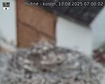 Capi_Dubne_20250817_070002.jpg