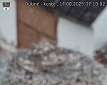 Capi_Dubne_20250817_071002.jpg