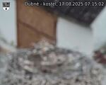 Capi_Dubne_20250817_071502.jpg