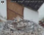 Capi_Dubne_20250817_072502.jpg