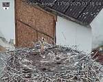 Capi_Dubne_20250817_073004.jpg