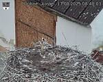 Capi_Dubne_20250817_084003.jpg