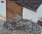 Capi_Dubne_20250817_092503.jpg