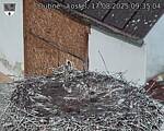 Capi_Dubne_20250817_093504.jpg