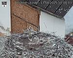 Capi_Dubne_20250817_100003.jpg