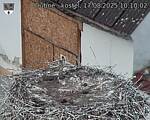 Capi_Dubne_20250817_101002.jpg