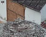 Capi_Dubne_20250817_101503.jpg